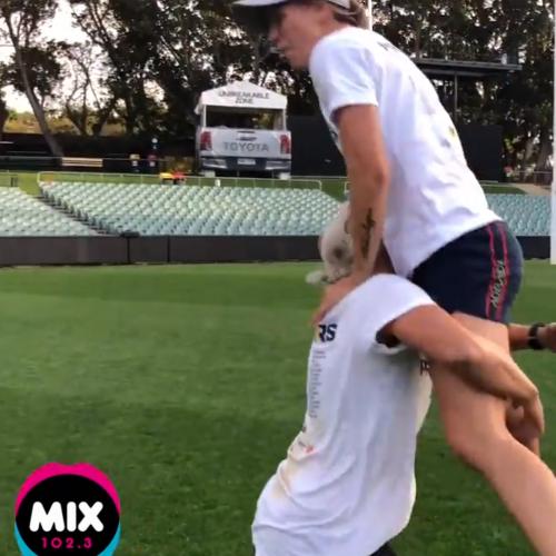 Crows Aflw stars sneak back on Adelaide Oval