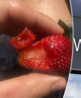 Needles And Thumb Tacks Found In Strawberries, Avocado And Bread At Adelaide Supermarket