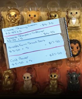 Aussie Shopping Genius Shows How To Get 21 Ooshies For $33