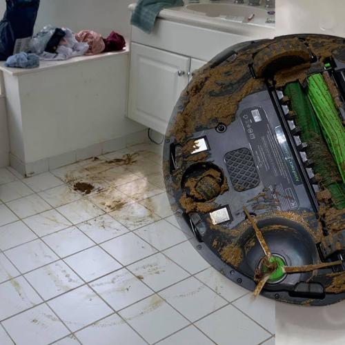 Man's Roomba Runs Over Dog Poo, Spreading It Throughout The House
