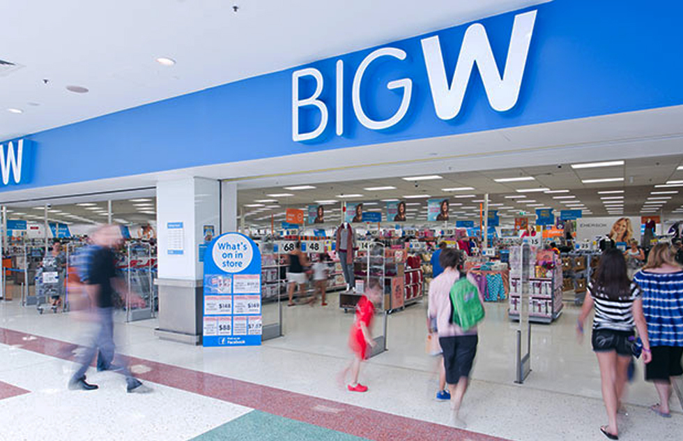 big w toy chest