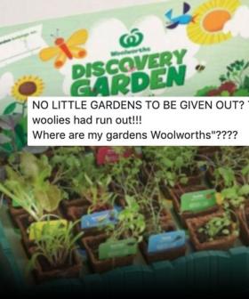Shopper Fury As Woolies Starts Running Out Of Discovery Garden Collectables
