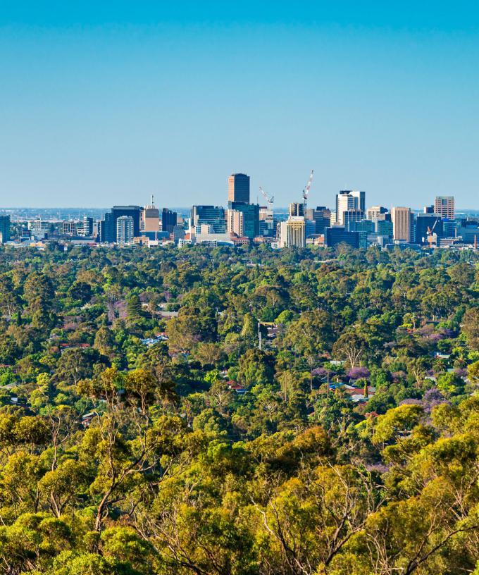 Adelaide Has Woken Up To Its Coldest Morning Since 1944
