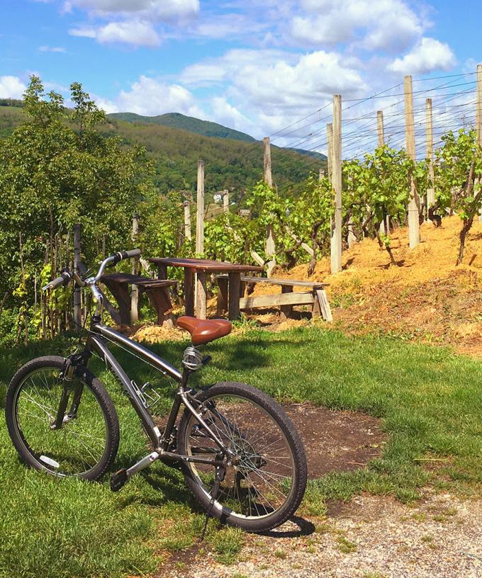 A New Wine Bike Trail Could Link Barossa Clare Valley Adelaide