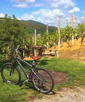 A New Wine Bike Trail Could Link Barossa, Clare Valley, Adelaide Hills & McLaren Vale