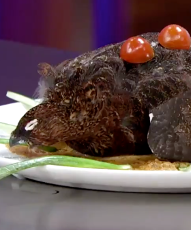 A Salty Spanish Masterchef Contestant Served An Untouched Dead Bird As A Message To The Judges.