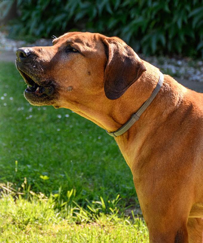 Which Adelaide Suburbs Are Making The Most Noise Complaints