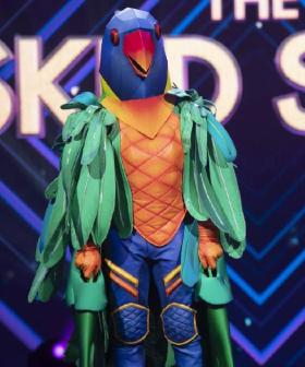 The Brand-Spankin' New Panellist For 'The Masked Singer' Announced!