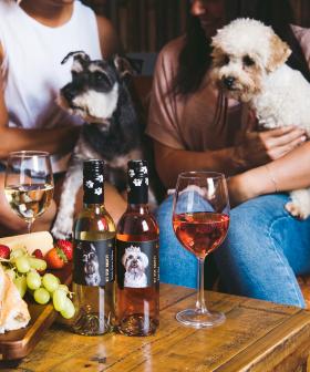 You Can Help Save Rescue Pets Just By Drinking This Aussie Wine!