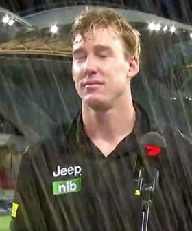 Port Fan Who Threw Drink At Richmond's Tom Lynch Banned For Two Years