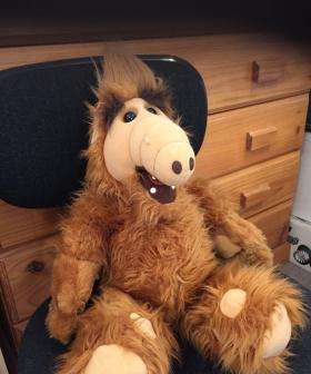 http://Jacki%20Footner's%20ALF