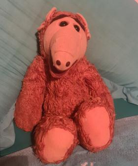 http://Jessica%20Milburn's%20ALF