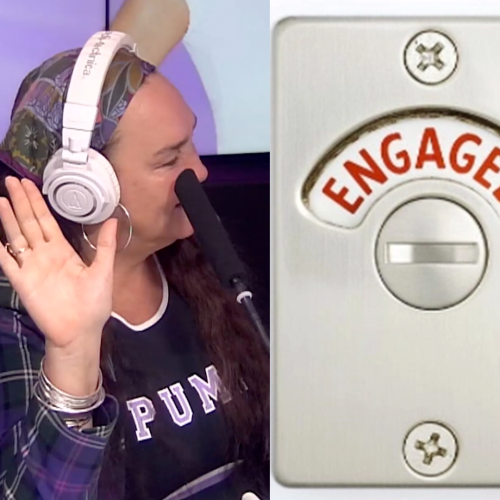 Kate Langbroek's Latest Moral Dilemma Has To Do With A... Toilet?