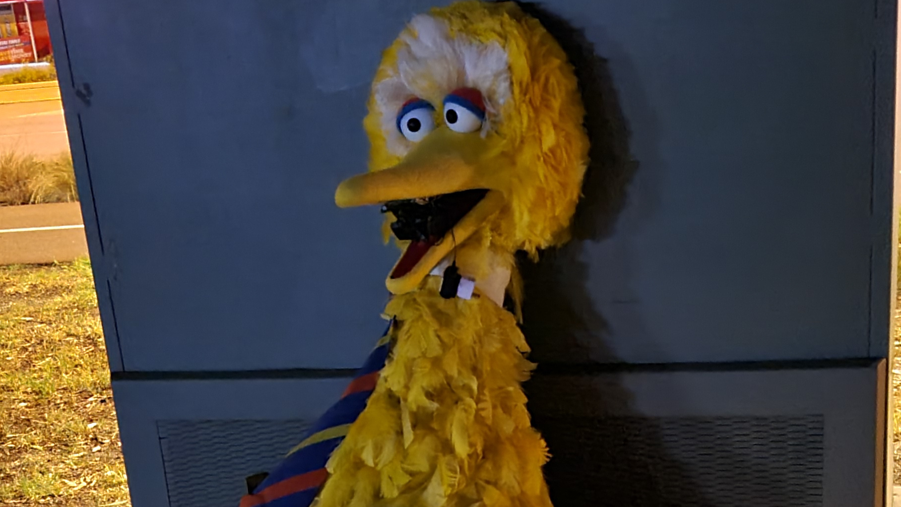 According To Yumi Stynes, This Is The Note 'The Big Bird Bandits