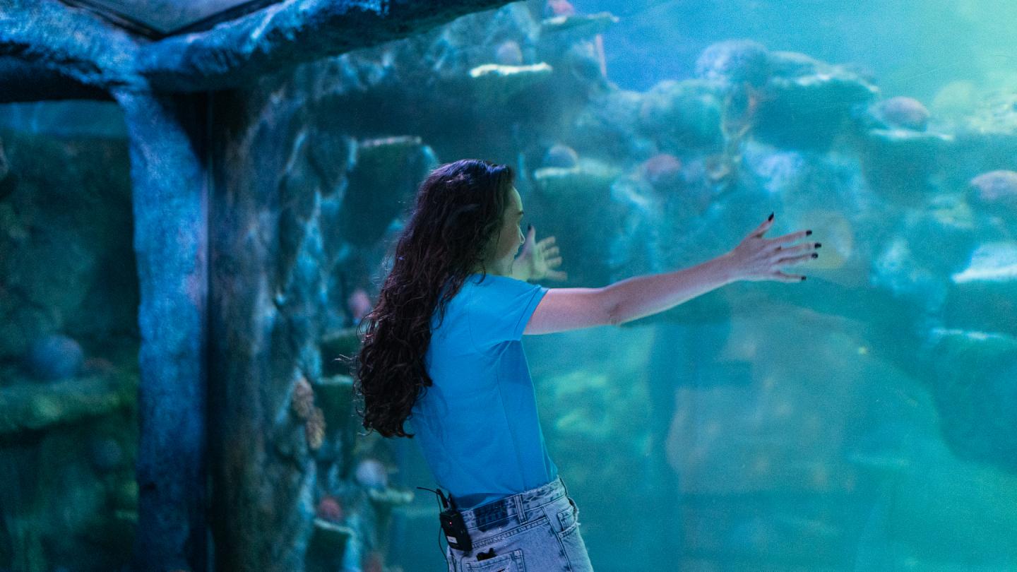 Amy Sharks Tour Of Sydney Aquarium Takes A Turn!