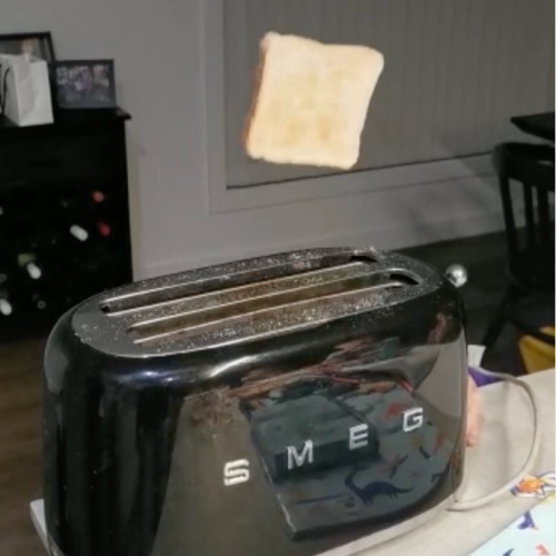 "IT FLIES!": Erin's Toaster Launches Her Bread Across Her Kitchen & We've Got Footage