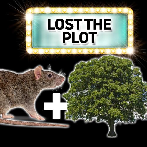'The Universe Is Saved By A Rodent And A Tree' – Can You Guess The Movie?