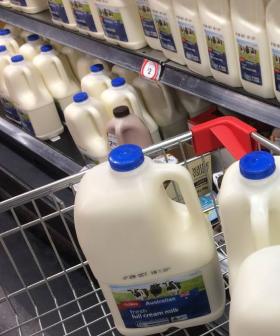 Supermarket Scraps The 'Use By' Date On Milk, Preferring Sniff Test