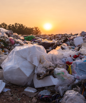 Plastic Eating Protein Could Help Save The World! (Or At Least Tidy It Up A Bit...)