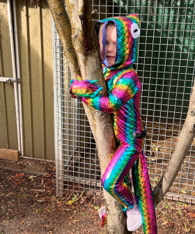 http://Rainbow%20Lizard