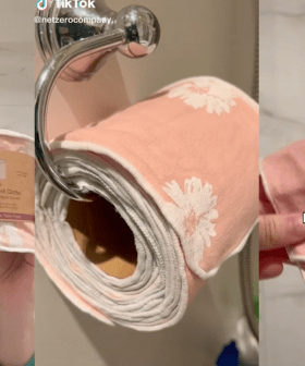 Take A Look At Reusable Toilet Paper Cloths!