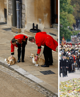 The Queen's Corgis Muick And Sandy And Fell Pony Emma Welcomed Her Home To Windsor Castle