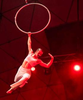 Fringe Review - London Calling Is Delightfully Unexpected
