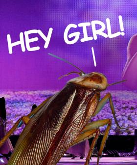 Taylor Swift Choked On A Bug On Stage!