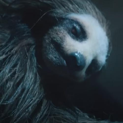Brace Yourself, There's A Movie About A KILLER SLOTH Coming