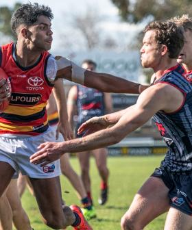 Norwood Reportedly Want To Be SA's Third AFL Team Following Tassie's Entry To The League