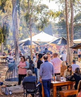 Grape Stomping & Spit-Roasts.. What's On In Adelaide This Weekend!
