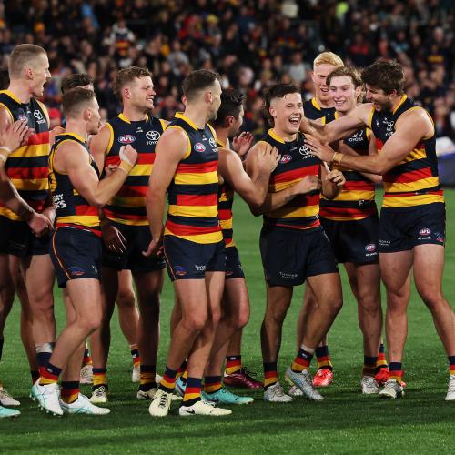 Looks like the Crows are back on track!