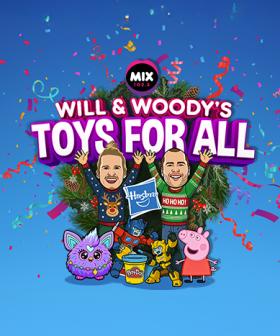 Will & Woody’s Toys for All!
